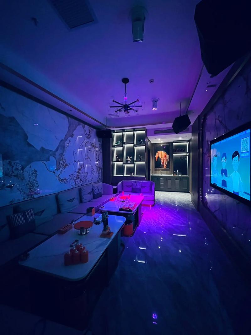 常州商务ktv高端私人包间推荐-新北区ktv预定